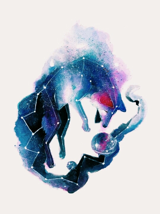 Galaxsy fox#2