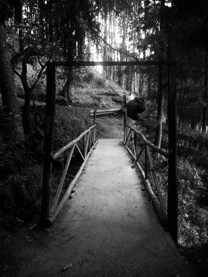 bridge