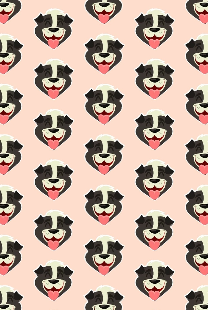 Cachorro