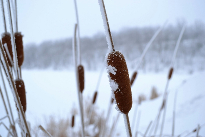 Winter Lake