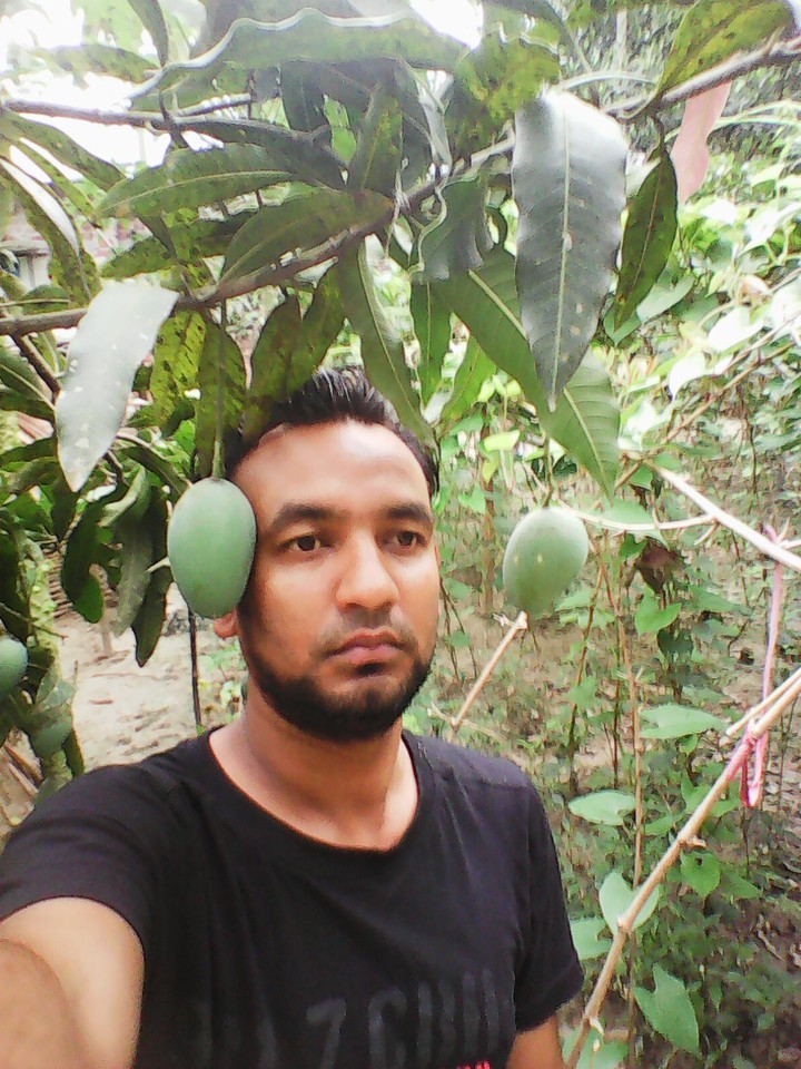 nice mango