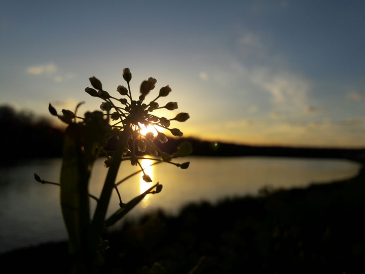 Sunsets