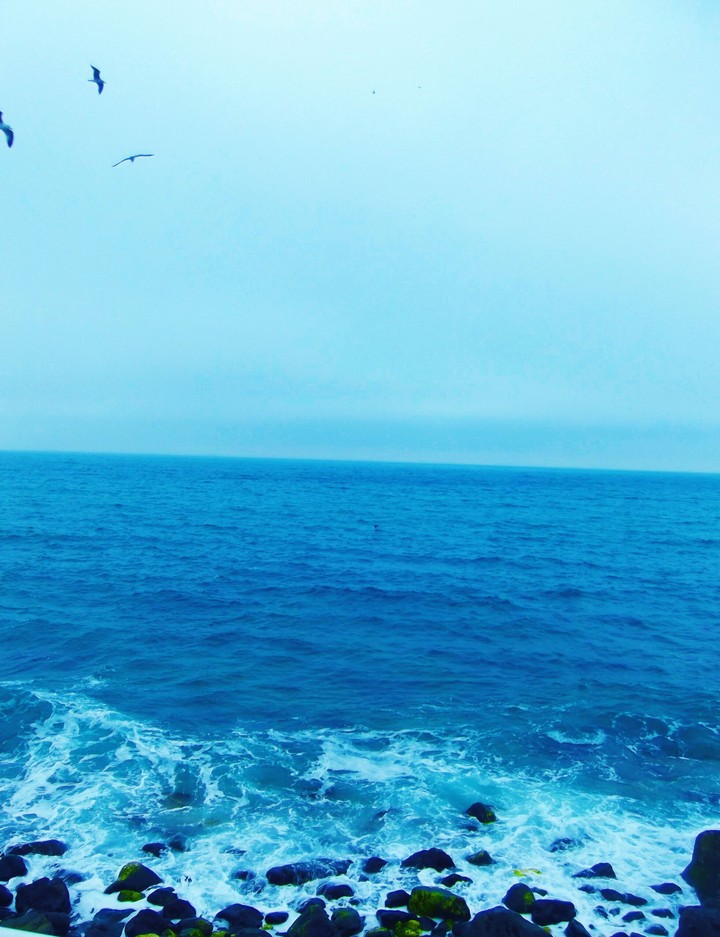 sea