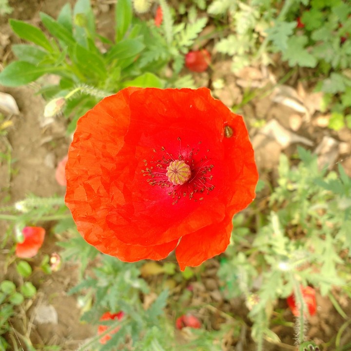 beautiful nature