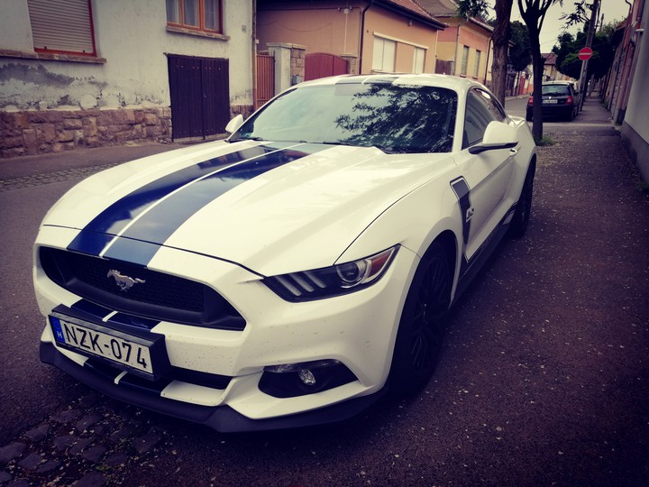 ford mustang