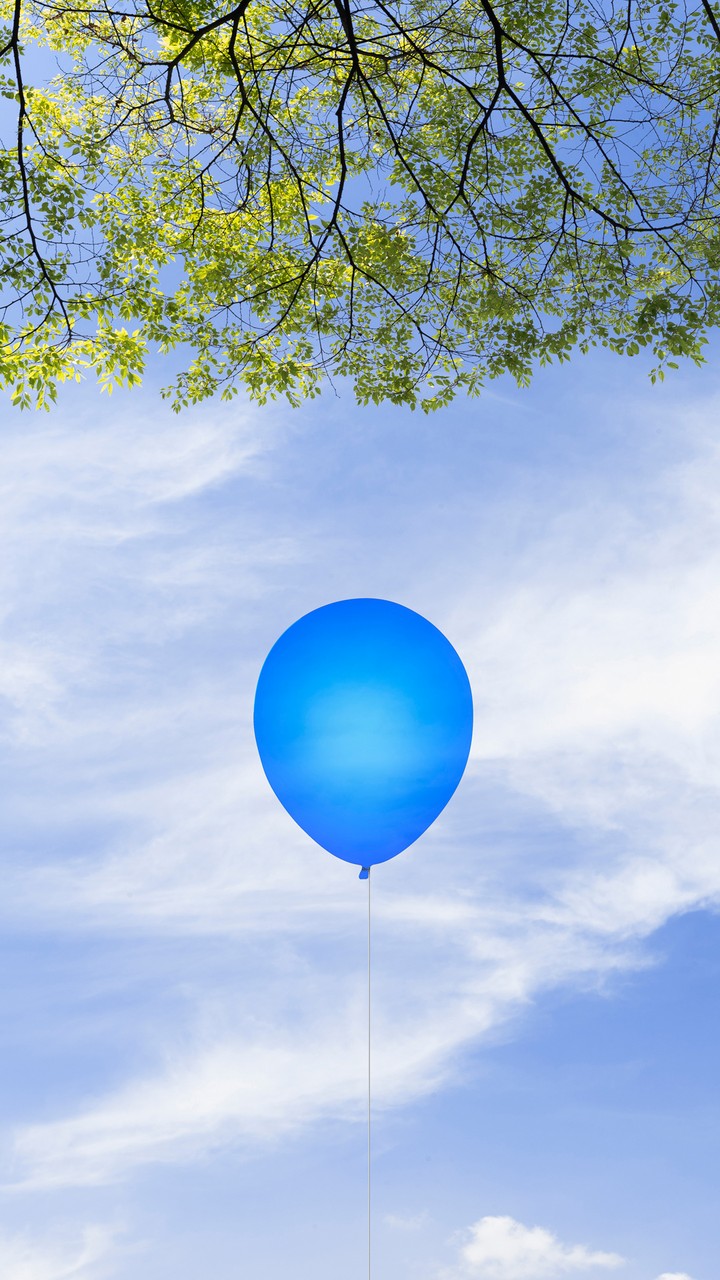 Balloon