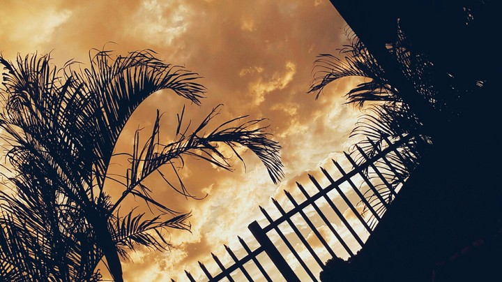 Sunset for free
