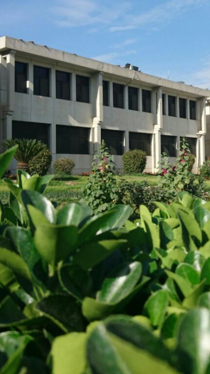 Azad Kashmir University