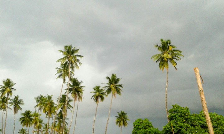rainy