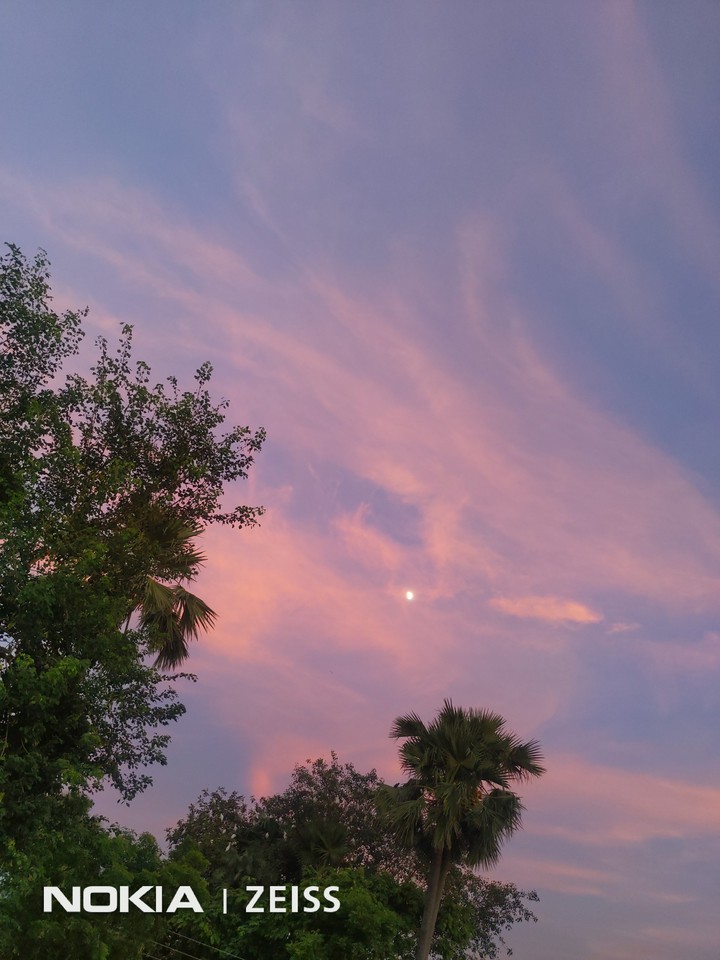 pink hue