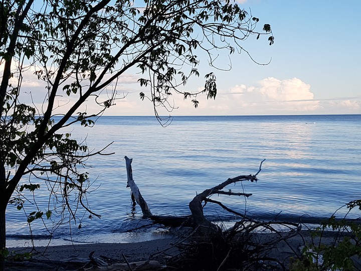 Beach at Dusk