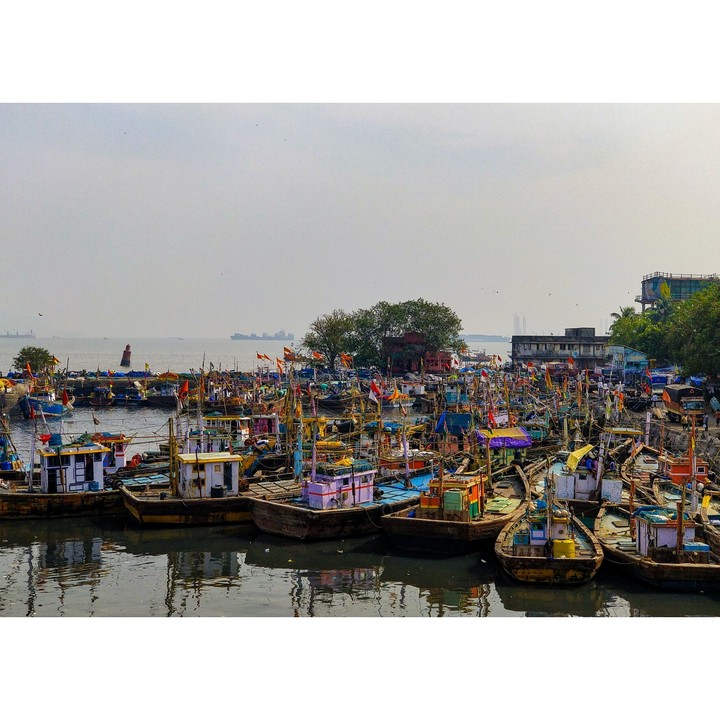 The colourful dock