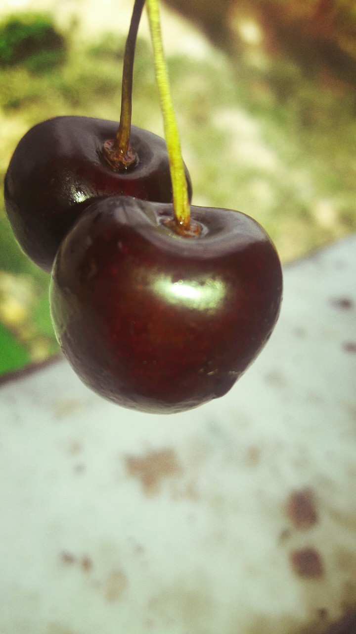 cherry