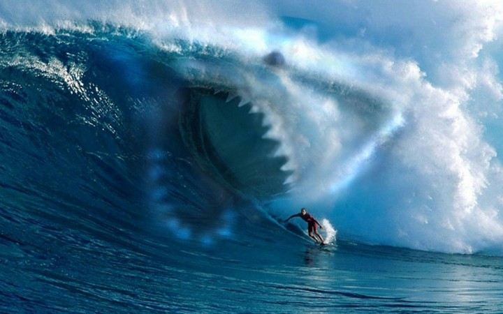 SHARK.