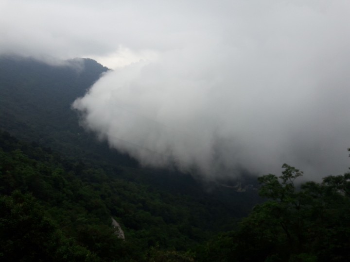 fog