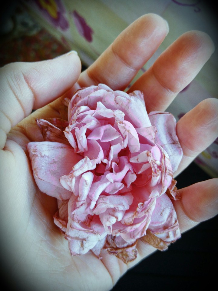 flower in hand