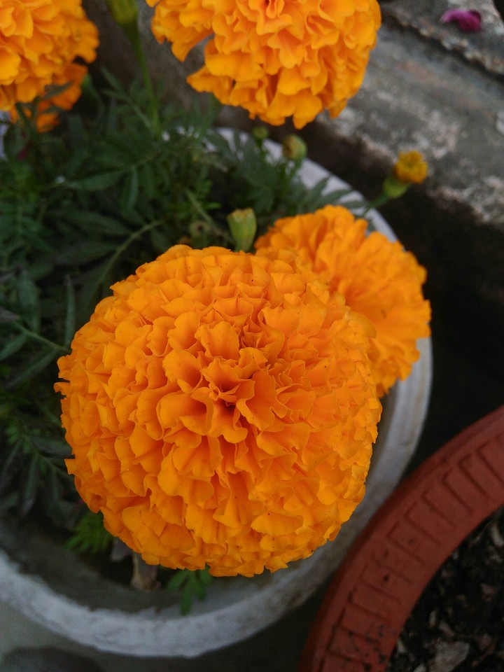 after rain