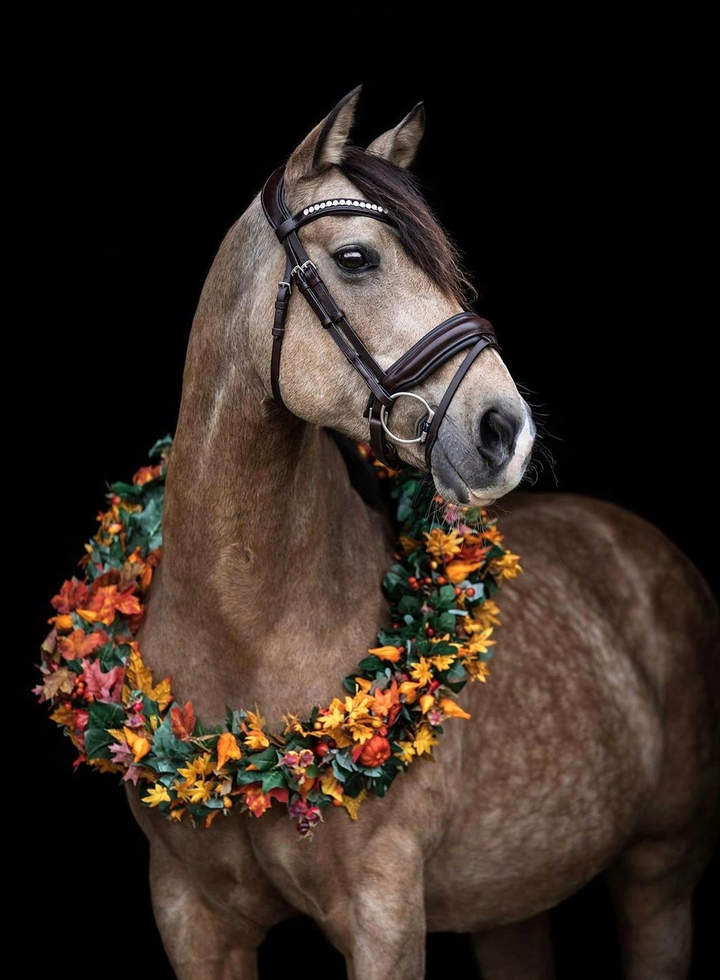 Hors