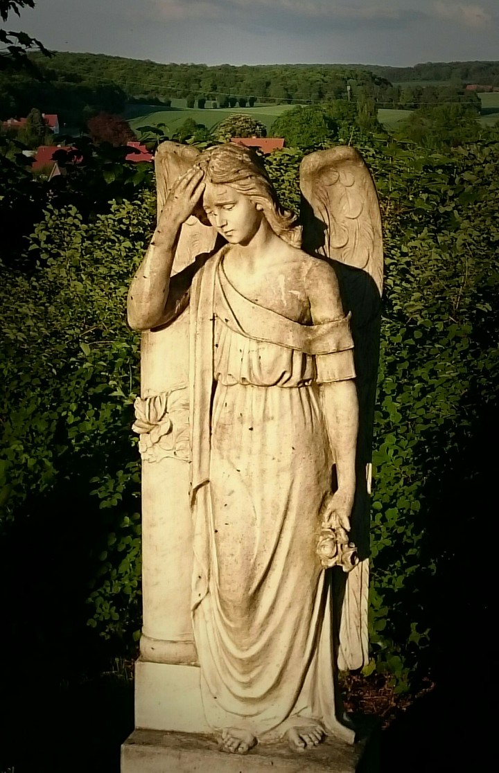 Engel