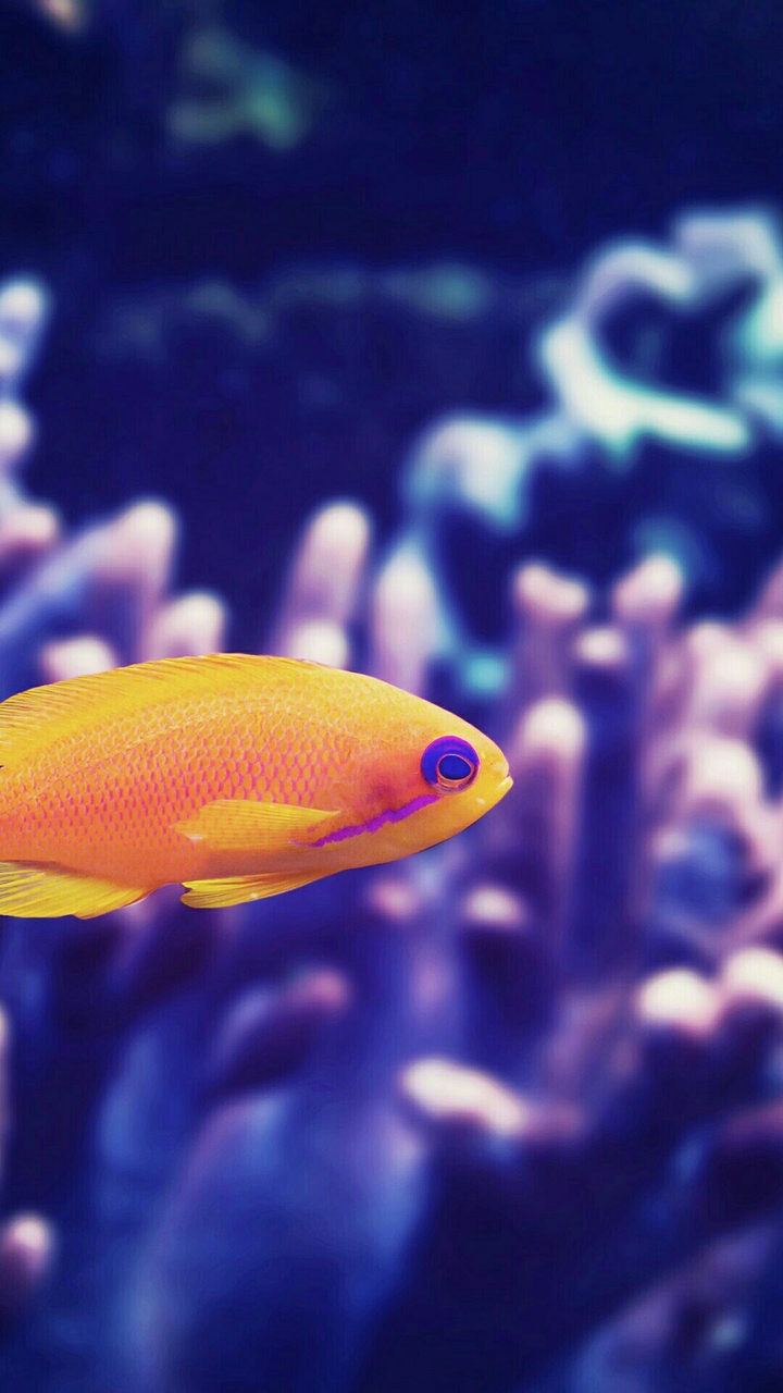 underwater