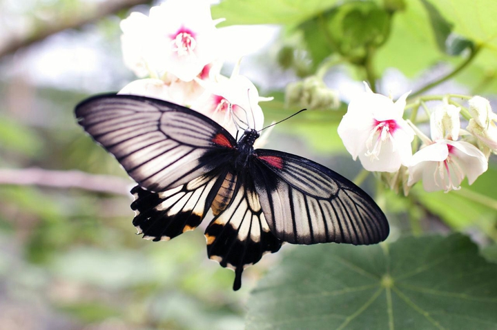 Take care of beautiful nature