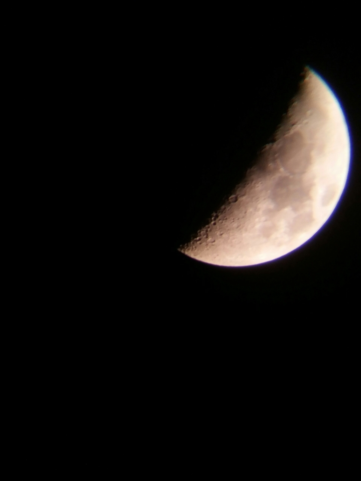 about 1/2 moon