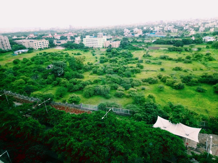 Greenview
