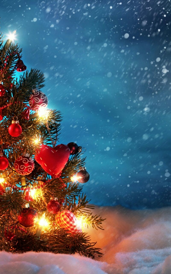 MISTLETOE #
