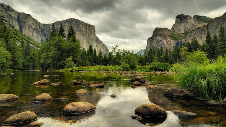nature