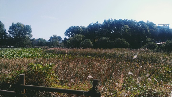 신창동 저수지