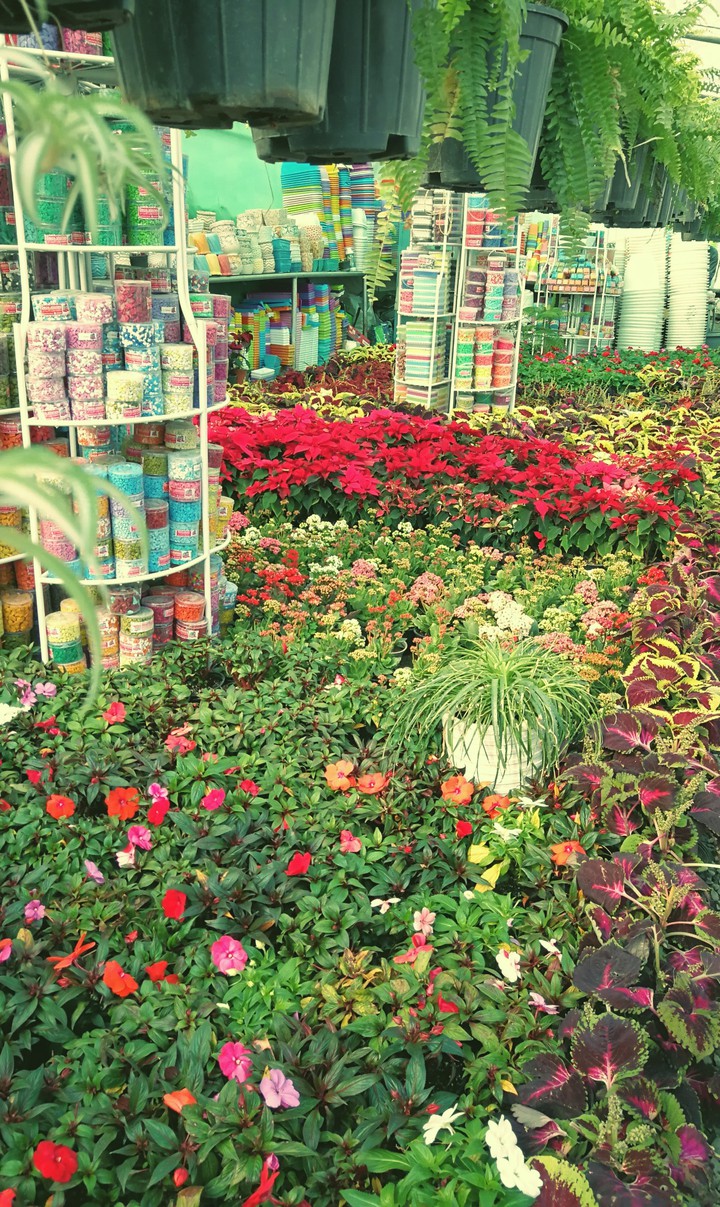Florists