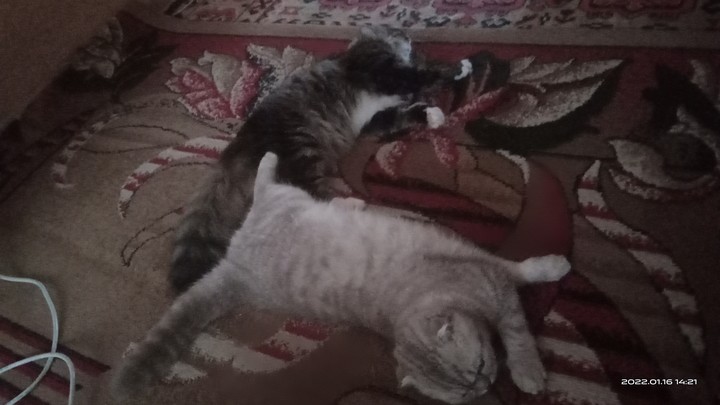.
