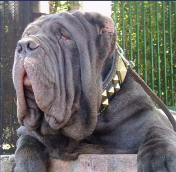 КРАСИВО ИЗ ЖИЗНИ