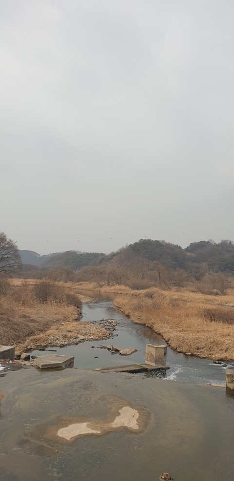 רקעים wetland, arroyo