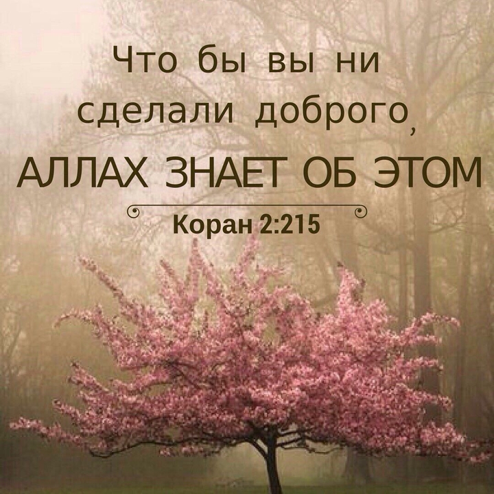 Добро