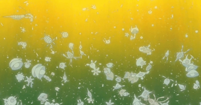 мир под водой
