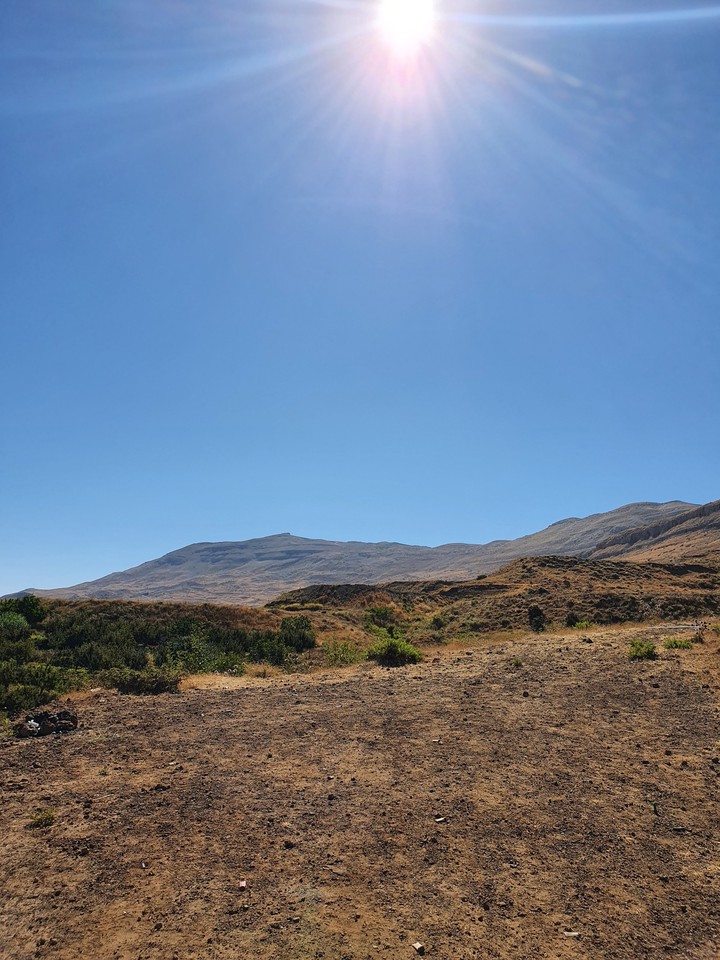 wilderness