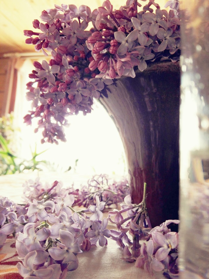 Lilacs