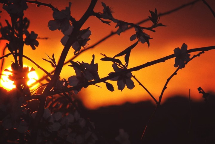 La natura al risveglio