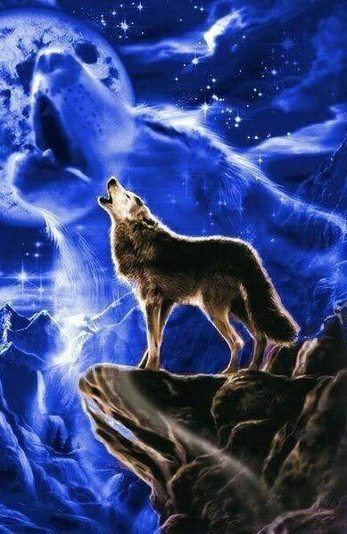 Wolf.
