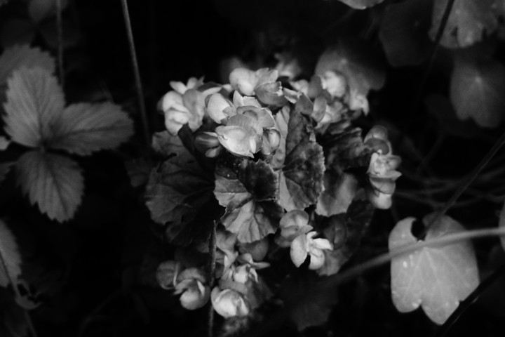 in the dark