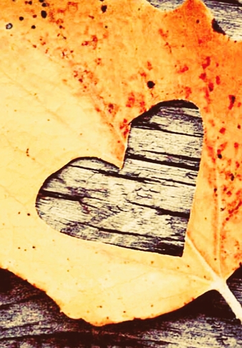 corazon