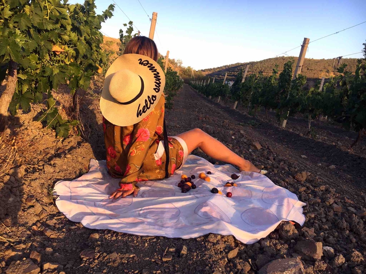vineyard