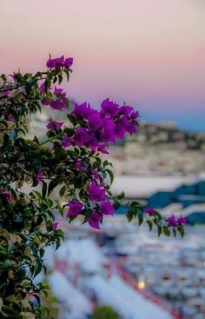beautifull nature
