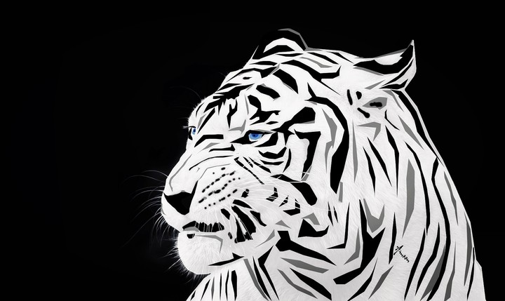 Snow Tiger