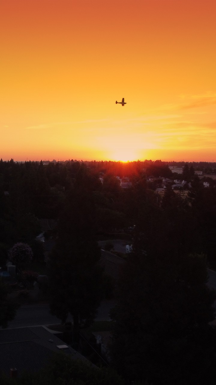 Sunset Flight