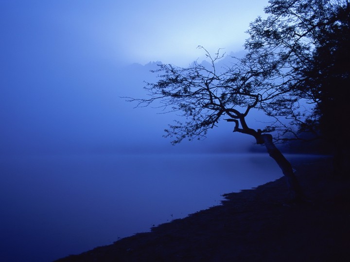 nature