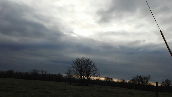 this morning