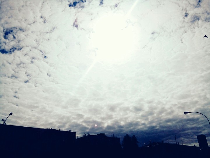 sun or moon?