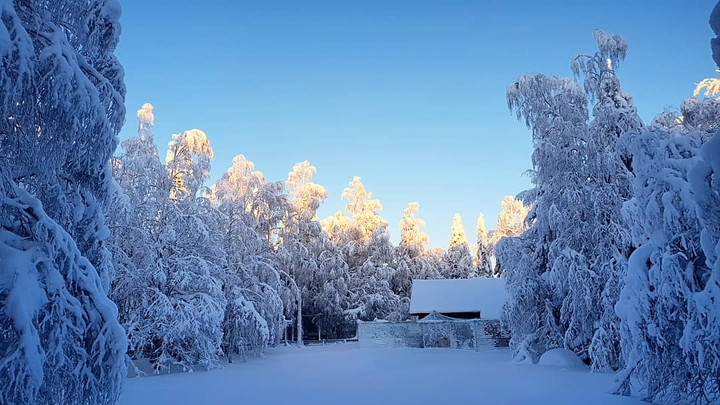 Winter Wonderland in the Arctic
